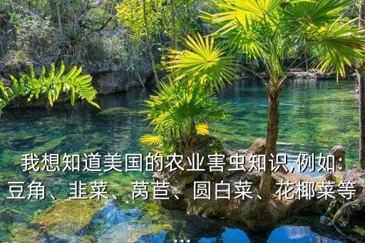 什么農(nóng)藥打黃粉蚜,黃粉蚜要用什么藥