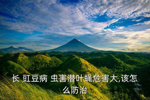 豇豆蟲害用什么農藥,防治豇豆蟲害最佳農藥