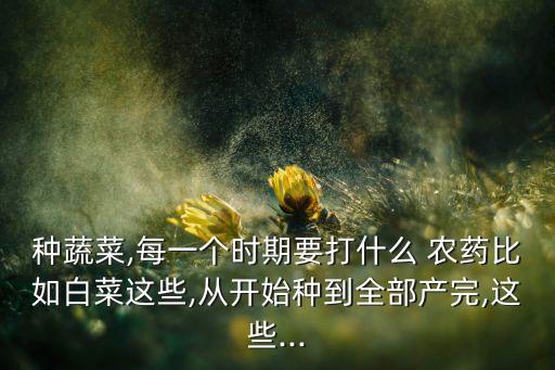 種蔬菜,每一個時期要打什么 農(nóng)藥比如白菜這些,從開始種到全部產(chǎn)完,這些...