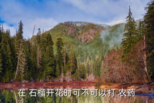 石榴能噴什么農(nóng)藥,石榴樹(shù)需要打什么農(nóng)藥?
