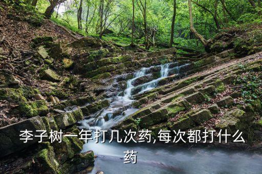  李子樹一年打幾次藥,每次都打什么藥