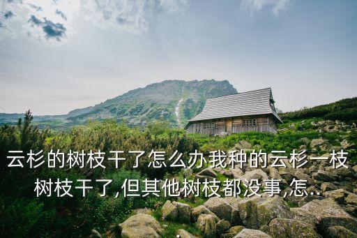 樹干生黑霉病用什么農藥