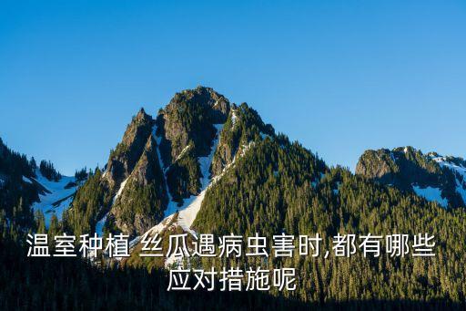 溫室種植 絲瓜遇病蟲害時,都有哪些應對措施呢