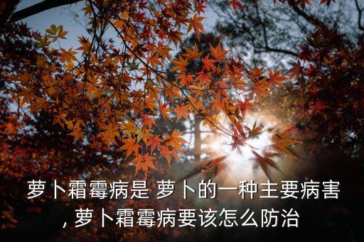 蘿卜怕打什么農(nóng)藥,白菜蘿卜用什么農(nóng)藥