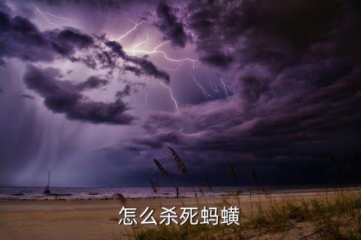 怎么殺死螞蟥