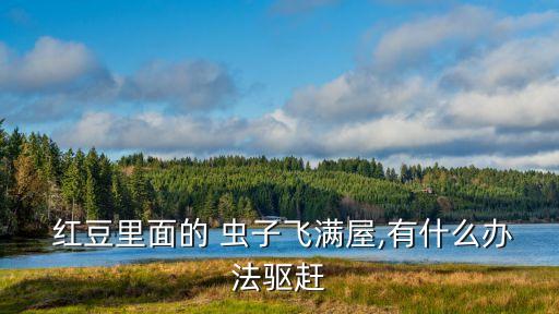  紅豆里面的 蟲子飛滿屋,有什么辦法驅趕