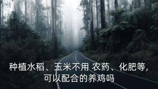 種植水稻、玉米不用 農藥、化肥等,可以配合的養雞嗎