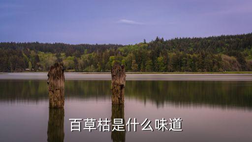 百草枯是什么味道