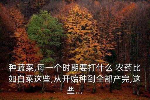 種蔬菜,每一個時期要打什么 農藥比如白菜這些,從開始種到全部產完,這些...
