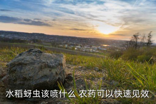 噴農藥噴什么效果好,用什么農藥噴毛毛蟲最有效