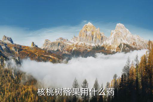 核桃樹落果用什么藥