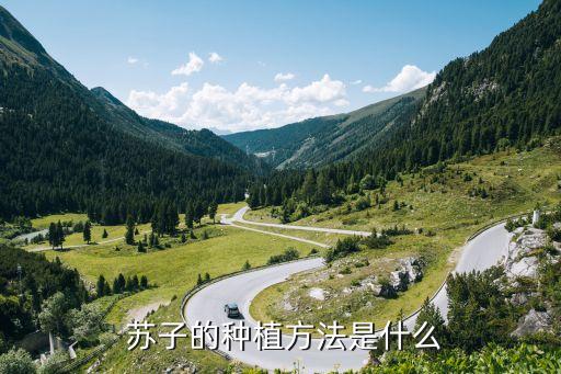 蘇子適合什么農藥用