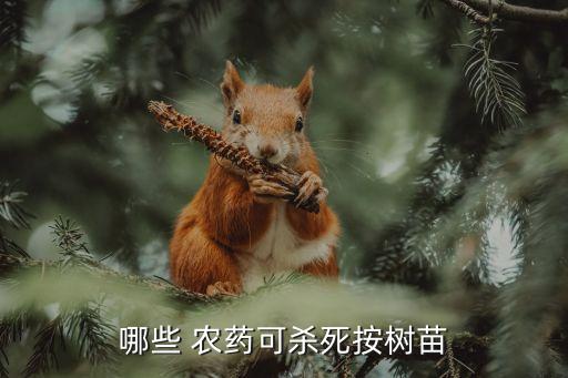 什么農藥殺樹效果很好,用什么農藥才可以殺樹