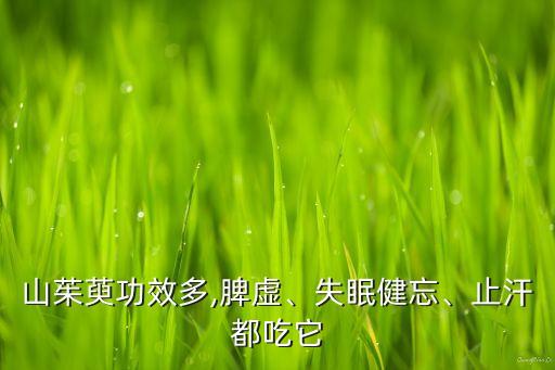 山茱萸功效多,脾虛、失眠健忘、止汗都吃它