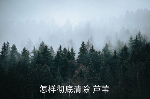 怎樣徹底清除 蘆葦