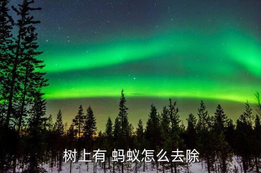樹上螞蟻多用什么農藥,螞蟻用什么農藥可以除掉它