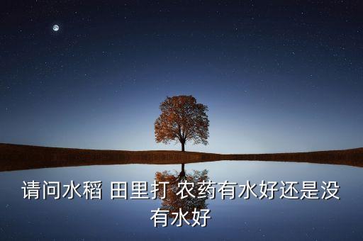 請問水稻 田里打 農藥有水好還是沒有水好