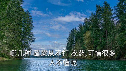 夏季什么蔬菜沒農藥,洗蔬菜用什么洗去農藥