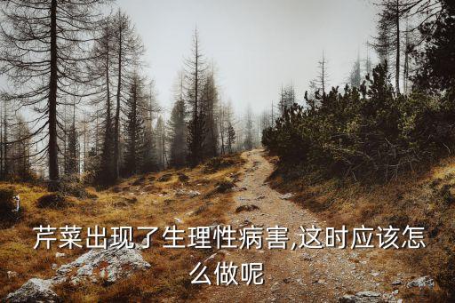  芹菜出現(xiàn)了生理性病害,這時應(yīng)該怎么做呢