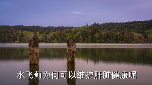 水飛薊打什么農藥,吃水飛薊有什么用
