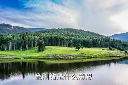 金鋼鉆是什么農藥,不是金剛鉆,下一句是什么