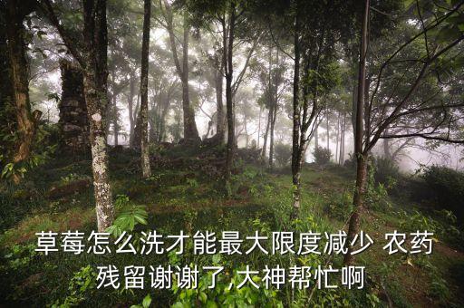  草莓怎么洗才能最大限度減少 農(nóng)藥殘留謝謝了,大神幫忙啊