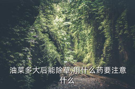 種油菜打什么農(nóng)藥好用視頻