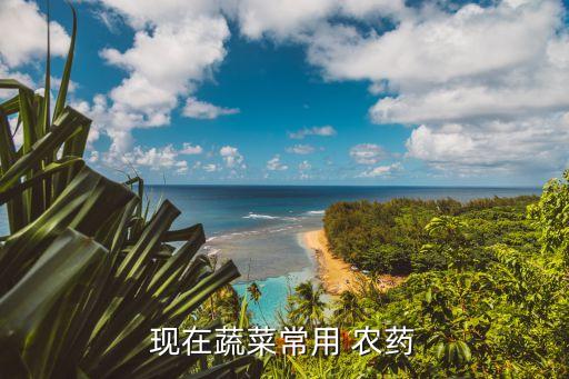 農藥一遍凈打什么,農藥病毒一遍凈價格