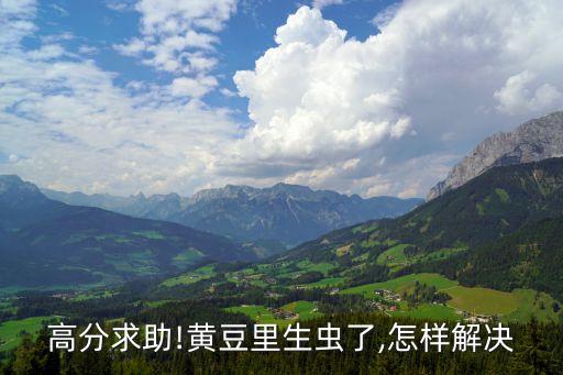 高分求助!黃豆里生蟲(chóng)了,怎樣解決