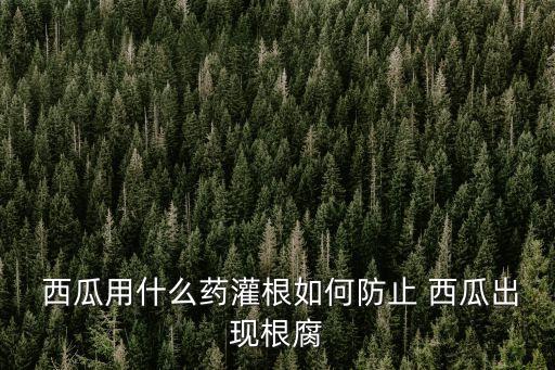  西瓜用什么藥灌根如何防止 西瓜出現根腐
