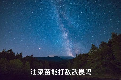 油菜要噴什么農(nóng)藥,油菜蚜蟲用什么農(nóng)藥最好