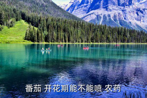 西紅柿開花時打什么農藥