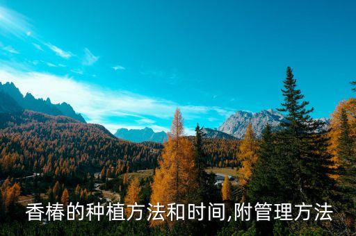 香椿打什么農(nóng)藥最好呢,香椿銷售什么地方最好銷