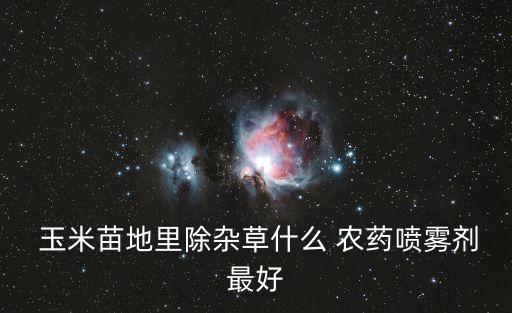 掛玉米用什么農藥好,什么農藥能讓玉米不結棒