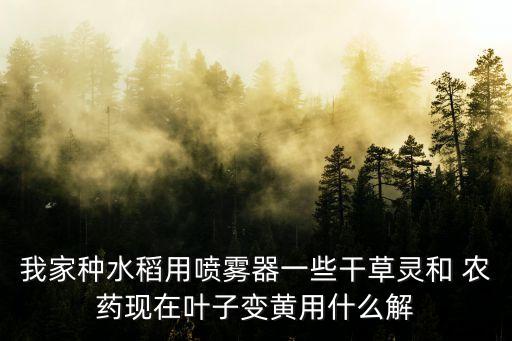 我家種水稻用噴霧器一些干草靈和 農(nóng)藥現(xiàn)在葉子變黃用什么解