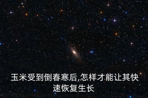 什么農藥讓玉米早熟,玉米治蟲用什么農藥好