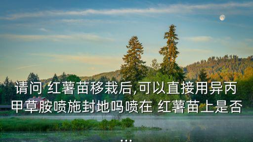 請問 紅薯苗移栽后,可以直接用異丙甲草胺噴施封地嗎噴在 紅薯苗上是否...