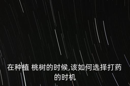 在種植 桃樹的時候,該如何選擇打藥的時機