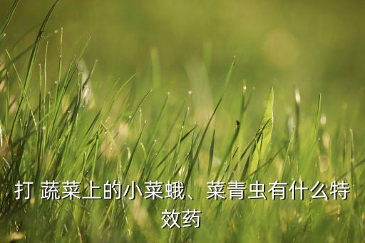 打什么農(nóng)藥可以把蔬菜打死,打蔬菜用什么農(nóng)藥好?