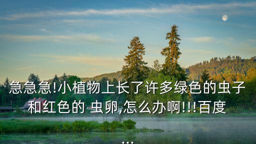 粉色蟲卵打什么農藥,打蟲卵的農藥有什么