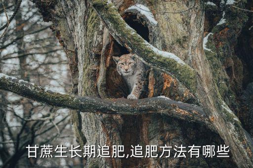 種植甘蔗什么時候打農藥,種甘蔗怎么種植直接埋土嗎