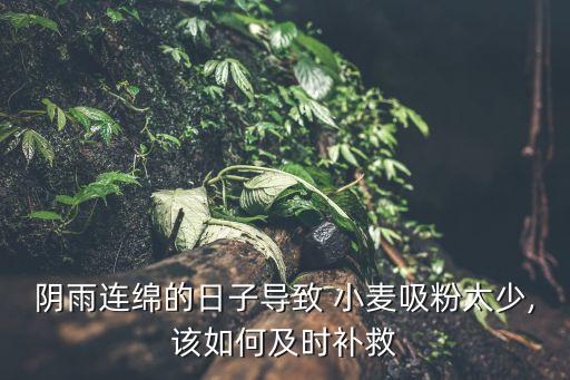 什么農藥會讓小麥不授粉,小麥倒春寒用什么農藥