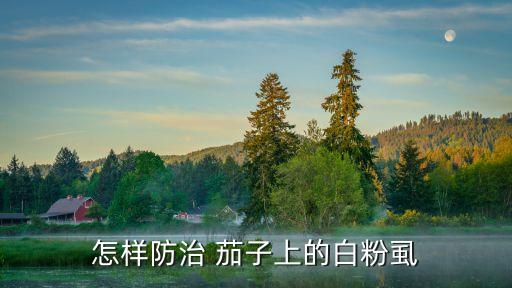 茄子虱打什么農藥能殺死,茄子一般用什么農藥