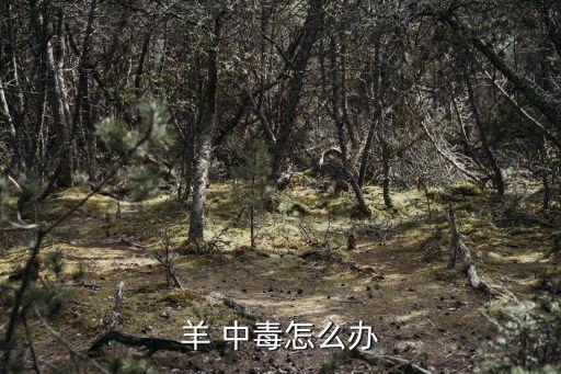 羊 中毒怎么辦