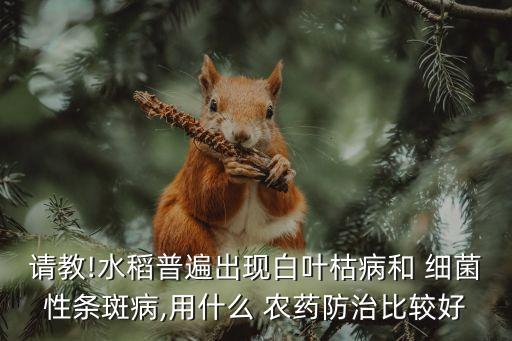 細菌病的農(nóng)藥什么好,哪些農(nóng)藥是治細菌病的