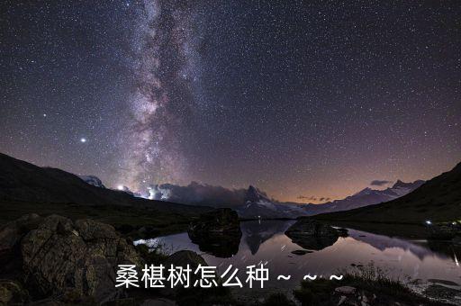 桑椹樹怎么種～～～