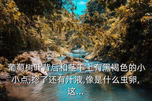 葡萄樹葉背后和莖干上有黑褐色的小小點(diǎn),捻了還有汁液,像是什么蟲卵,這...
