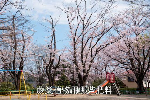 蕨蕨用什么農藥除草,什么農藥除草效果最好