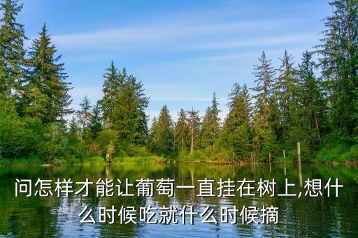 問怎樣才能讓葡萄一直掛在樹上,想什么時候吃就什么時候摘