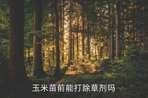 132杈谷苗后打什么農(nóng)藥